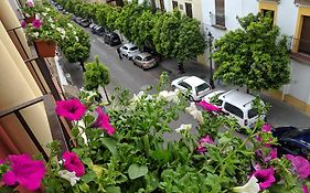 El Capricho De San Fernando, Consigna Gratis Y Parking A 200Mts